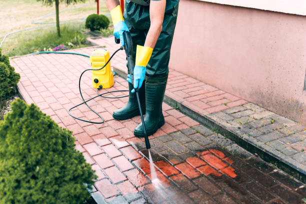 Best Building Exterior Washing  in Hartselle, AL