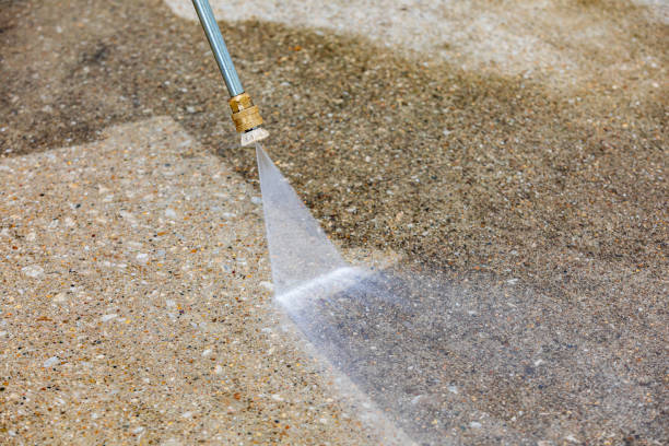 Best Roof Washing  in Hartselle, AL