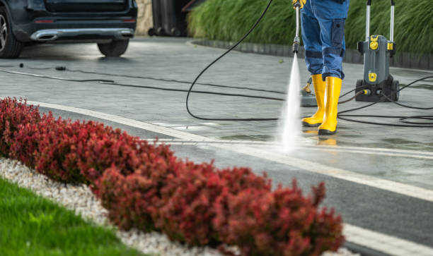 Animal Enclosure Cleaning in Hartselle, AL