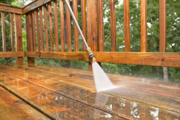 Best Animal Enclosure Cleaning  in Hartselle, AL